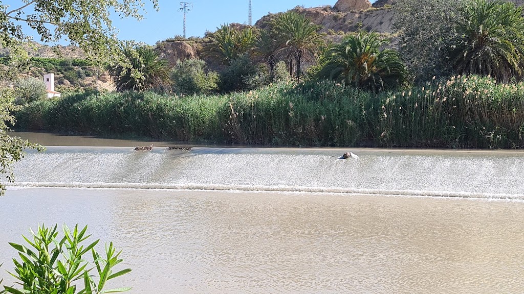 Presa de Archena