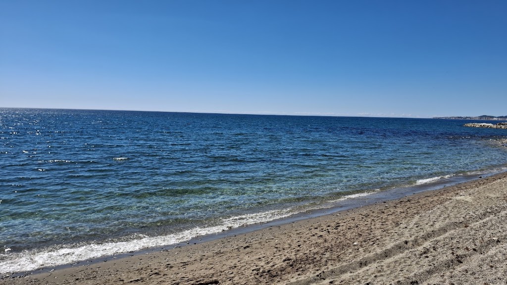 Malibu Beach Bar — Mas recientes