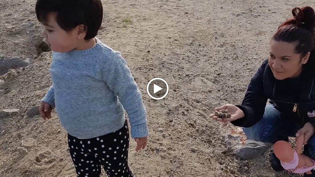 Casa Andreu — Videos