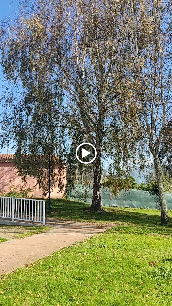 E.S.POLIGONO ALVEDRO — Videos