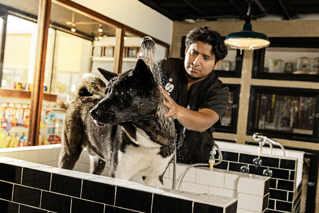 Veterinaria Humanimals Canek