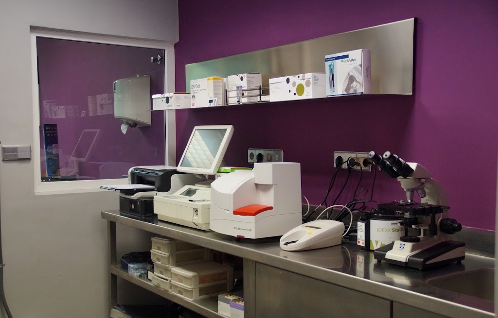 Clinica Veterinaria Huellas — Del propietario