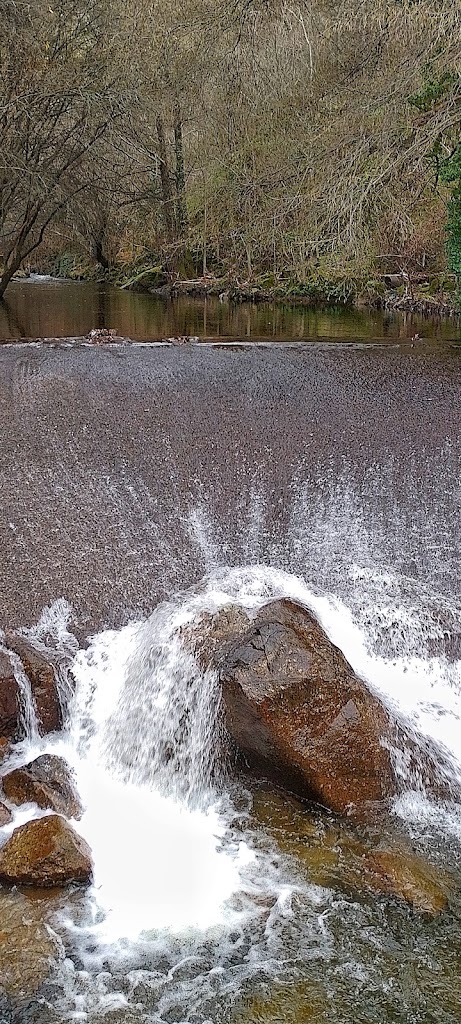 Ruta de Ladera Umbria de Bejar