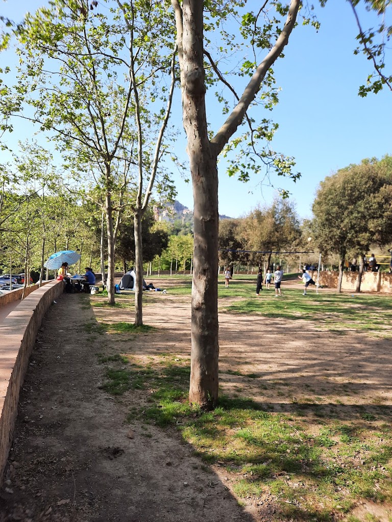 La Salut de Sant Feliu