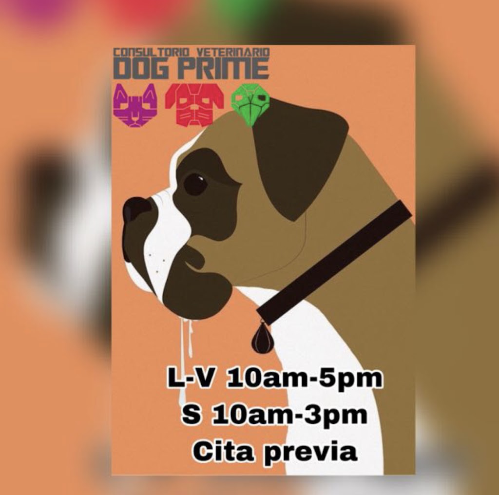 Consultorio Veterinario Dog prime — Del propietario