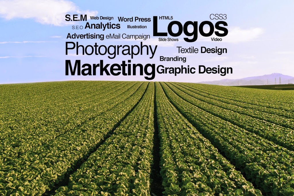Lettuce Design Group