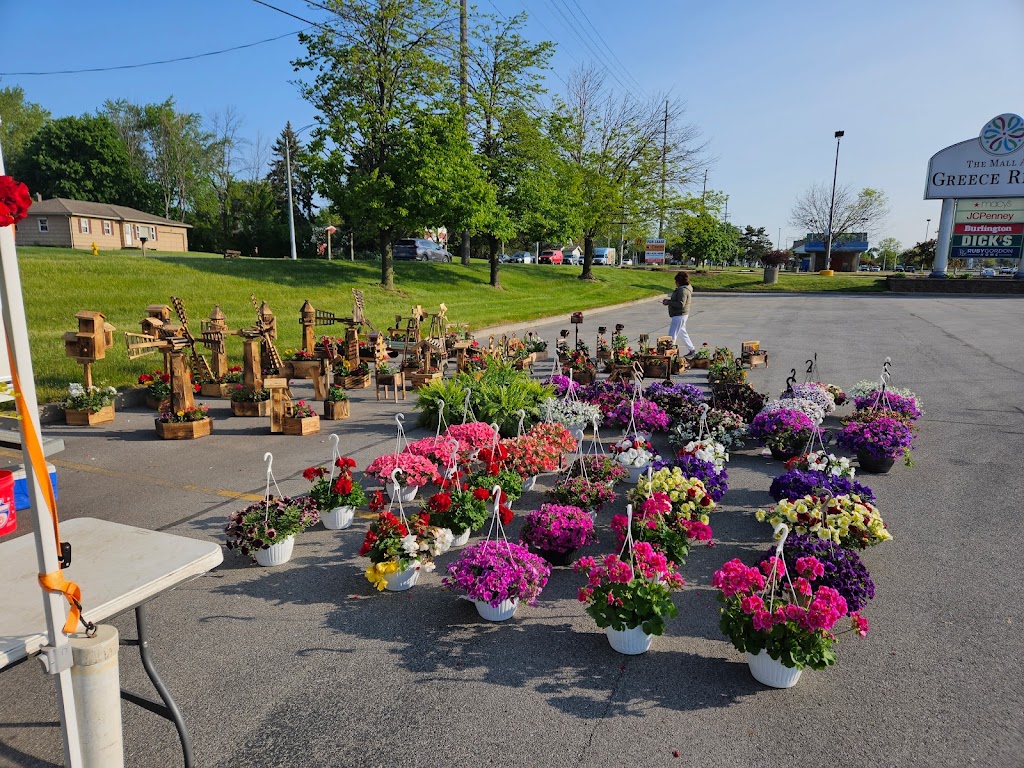 Farmer's Market - Farmers' market in Rochester , United States of America