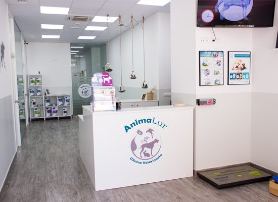 AnimaLur Clinica Veterinaria — Del propietario