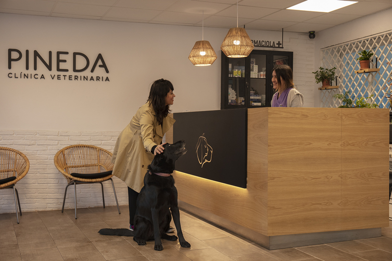 Clinica Veterinaria Pineda