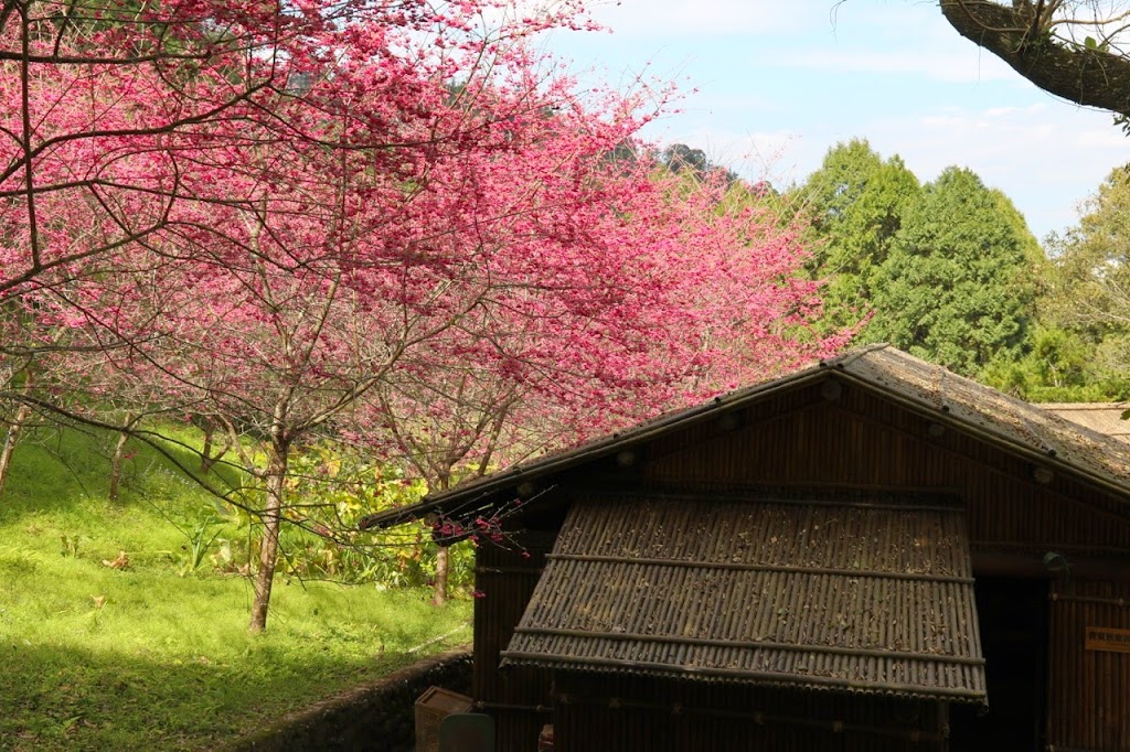 金礦山餐廳 的照片