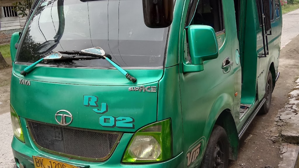 MATANARI SERVICE