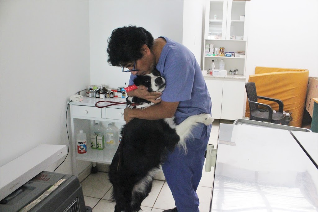 Veterinaria Pardo La Molina en La Molina