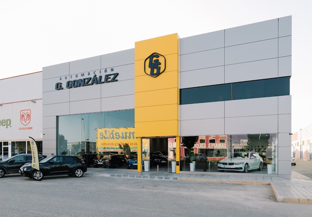 Automocion G. Gonzalez