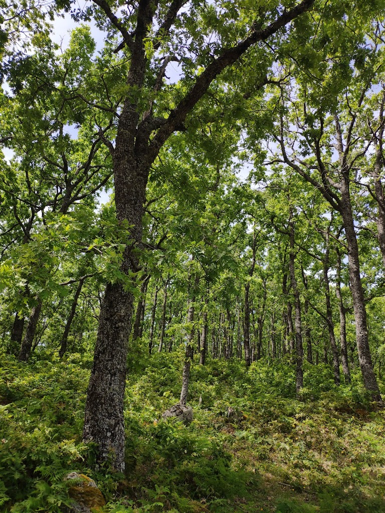 Sendero Los Llanos - Calderon PR-CC 12