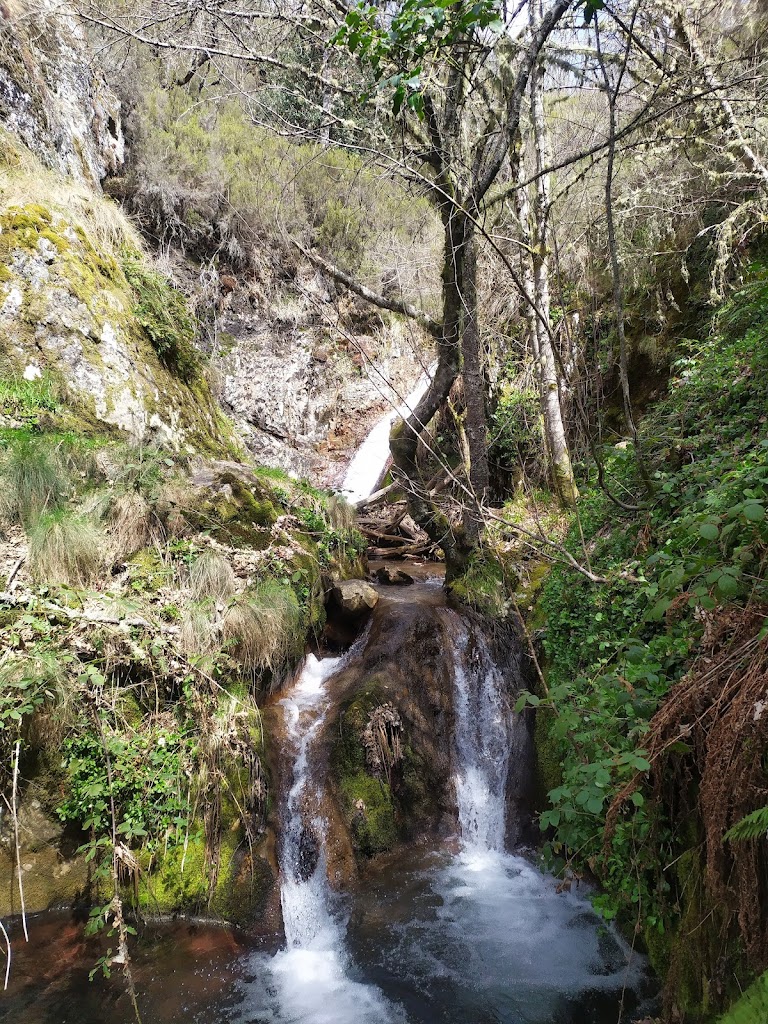 Ruta de las Fuentes Medicinales de Noceda