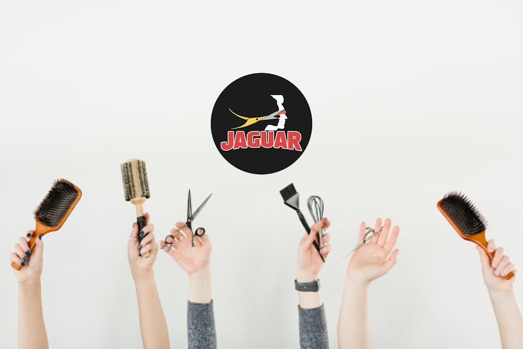 Jaguar Unisex Hair Beauty Salon