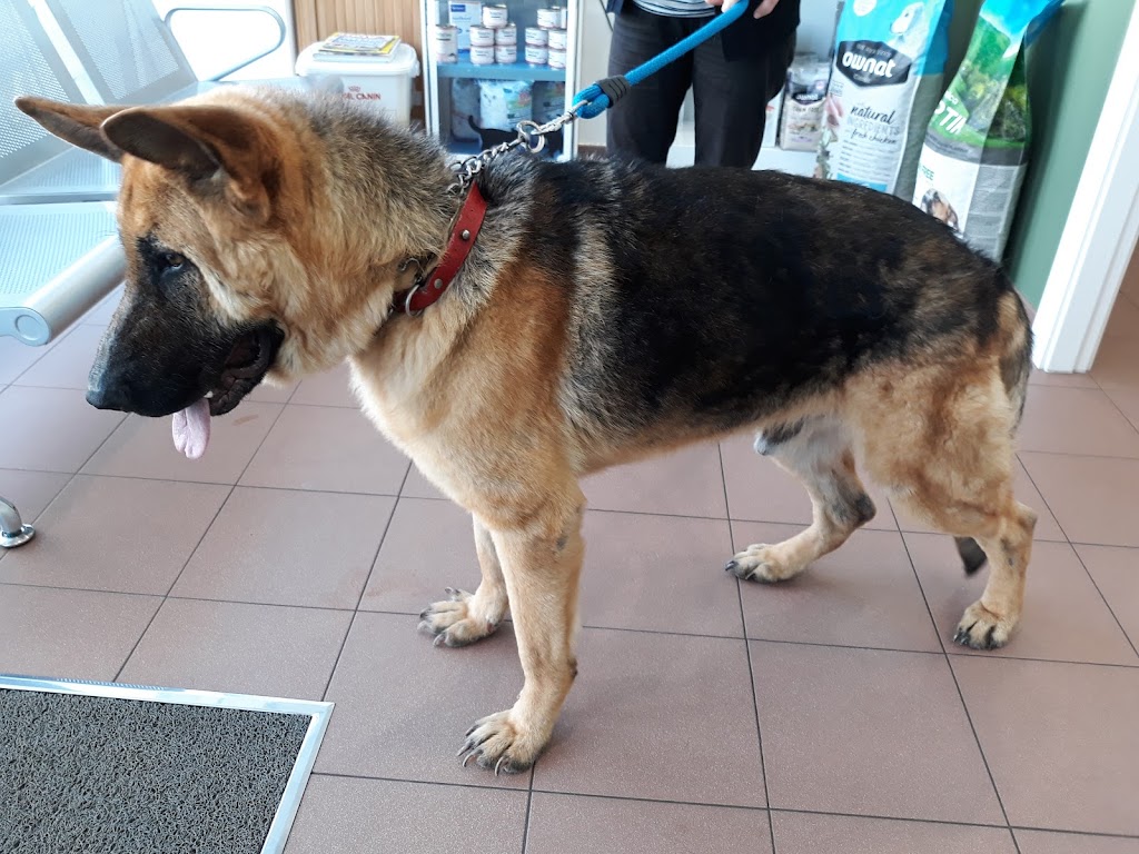 Centro Veterinario Do Morrazo