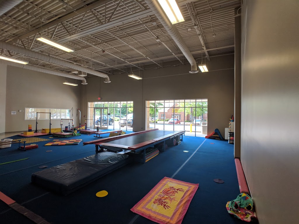  360 Tumble and Gymnastics, LLC
