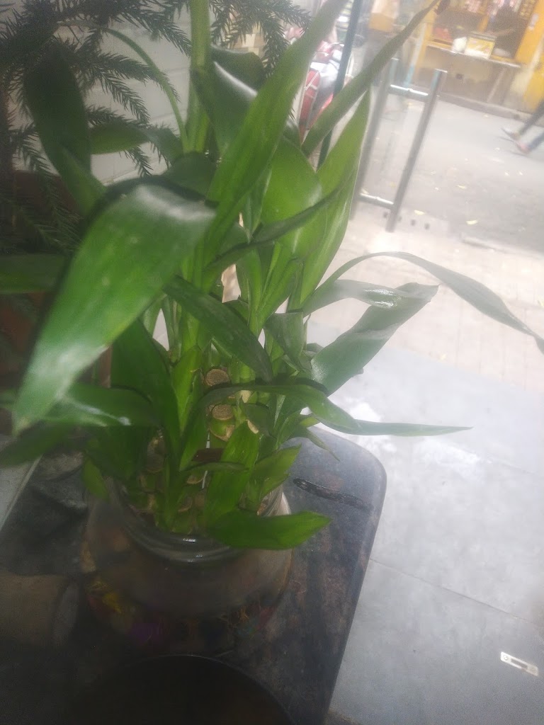 The R K Saloon And Beauty Parlour