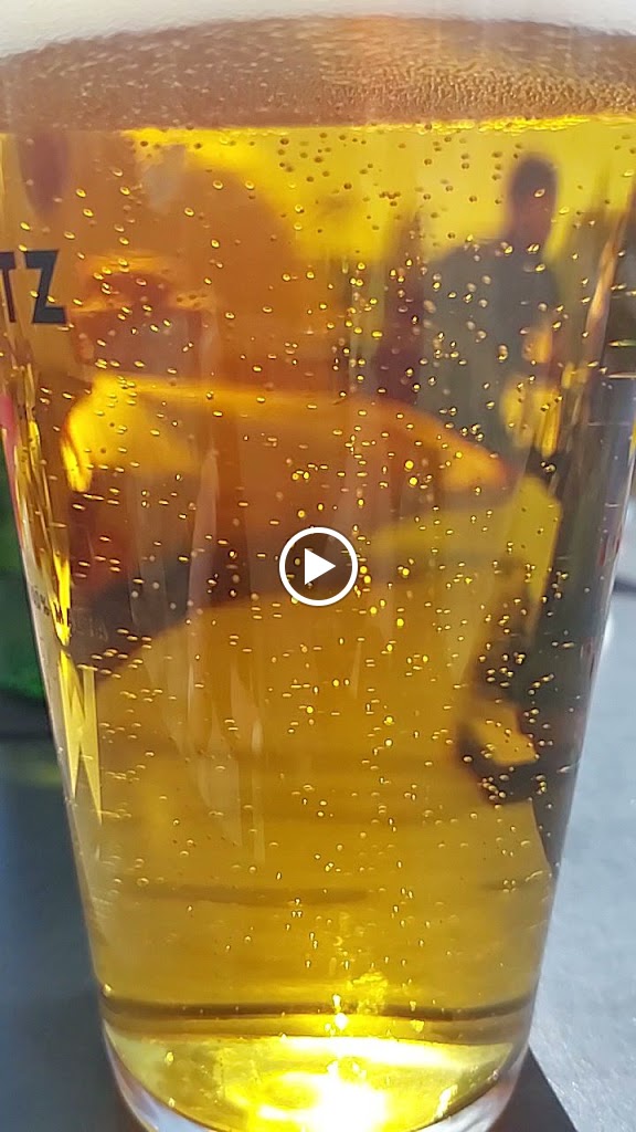 Bar Animals Ripagaina 2.0 — Videos