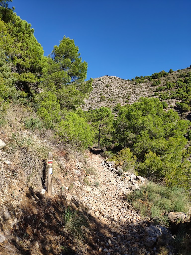 Inicio Sendero PR-A 56 Tajo del Quejigal