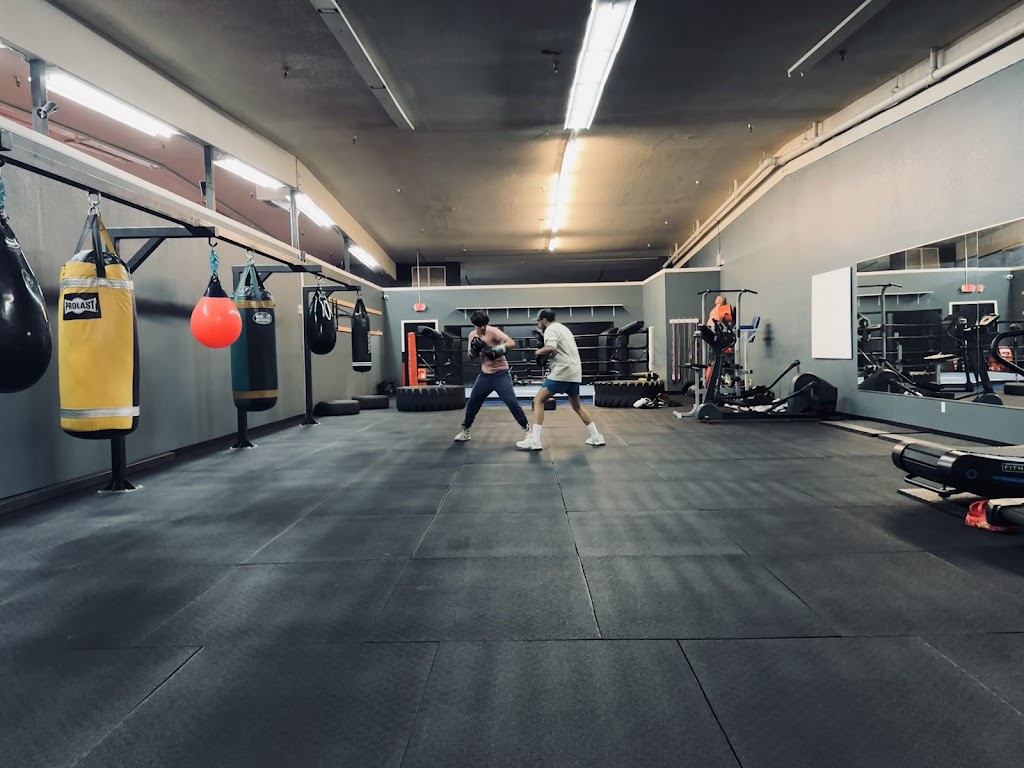  Backyard Battleground Boxing
