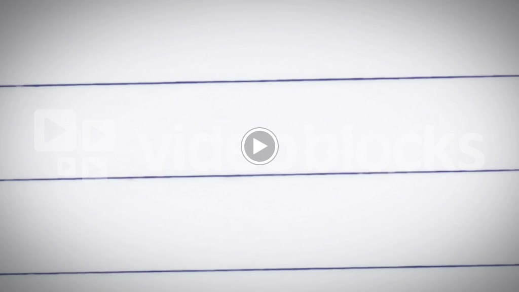 Monkey Business Website Design Services