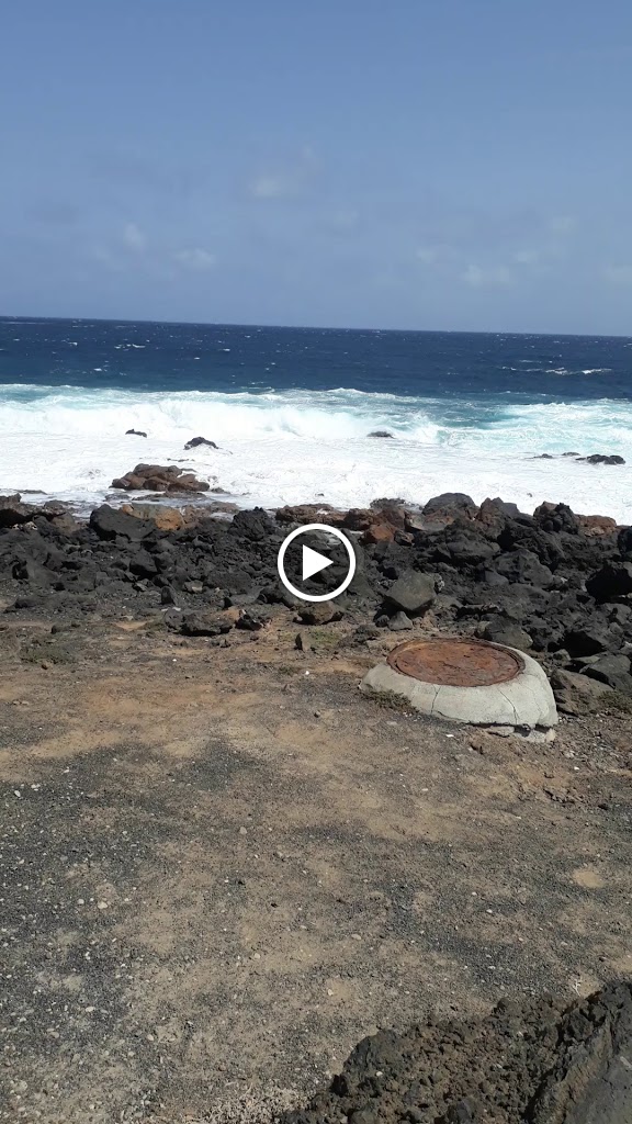 The Dolphin Inn Lanzarote — Videos