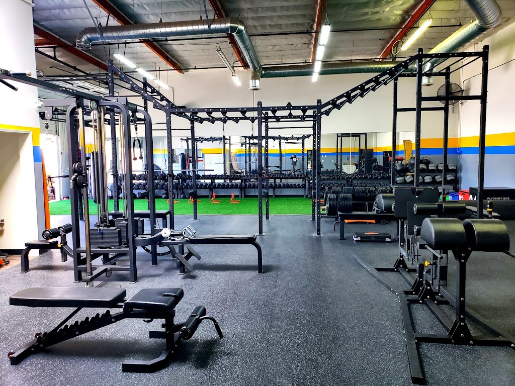  Life First Group, LLC