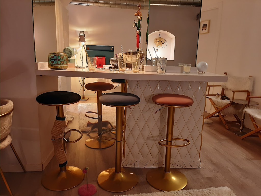Restaurante - Cafeteria - El Salon de mi casa - CAT CAFE — Ambiente