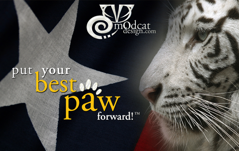 Modcat Design