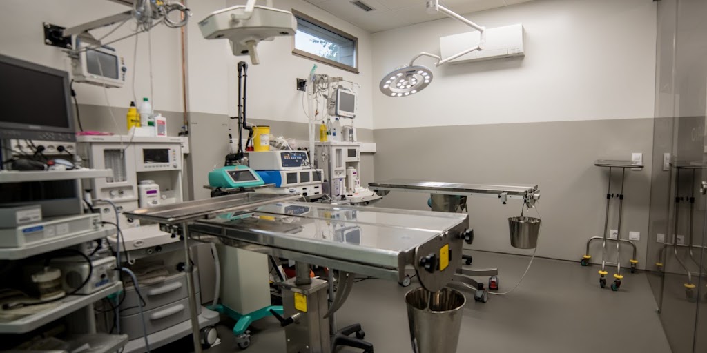 Hospital Veterinario Ramiro Tubio — Del propietario