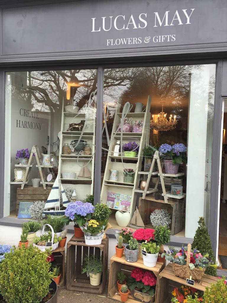 Lucas May Flowers & Gifts