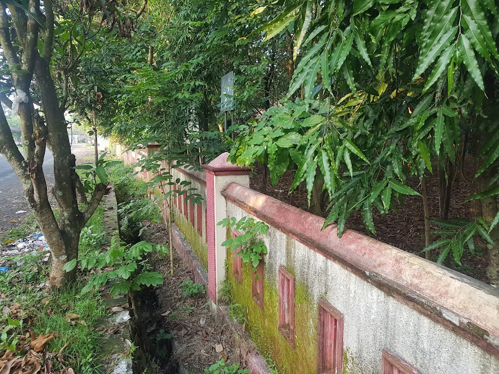 Forest City Kandanggampang