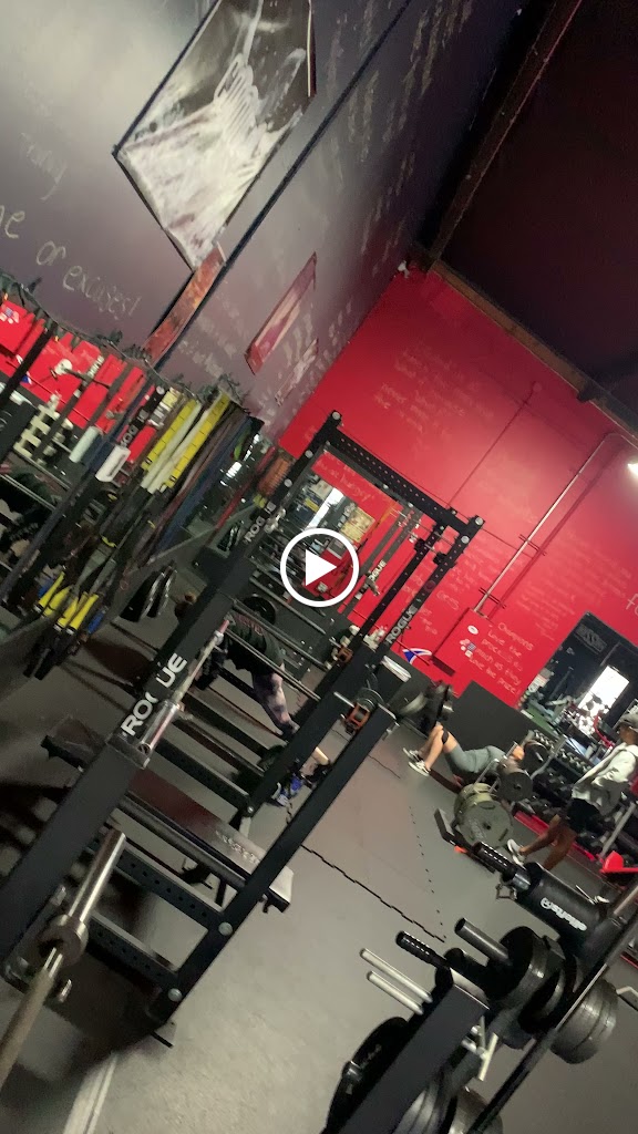  Shark Sports Fitness & Training