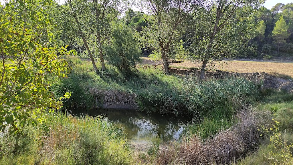 Laguna de Penarcon