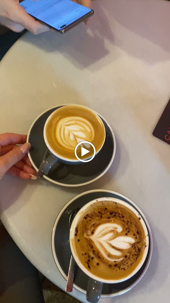 Bartolo Cafe Cantina — Videos