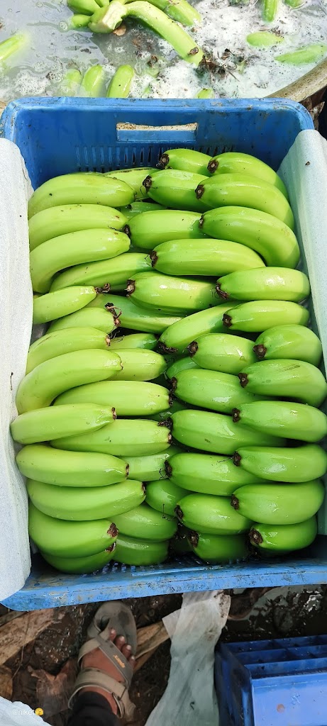 Ichha Family Restaurant