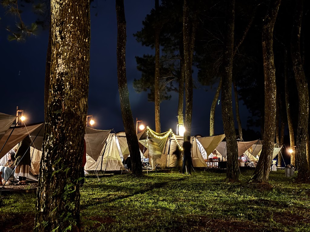 Datar Pinus Camp
