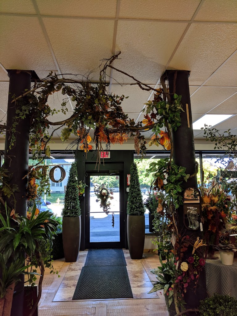 Wisteria Flowers & Gifts