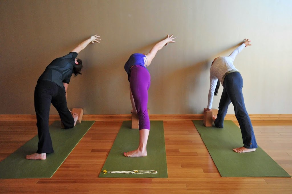  Studio Bamboo Institute of Yoga