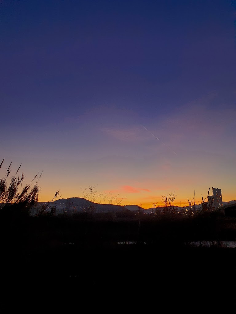 Parc Fluvial Sant Vicenc dels Horts Nord