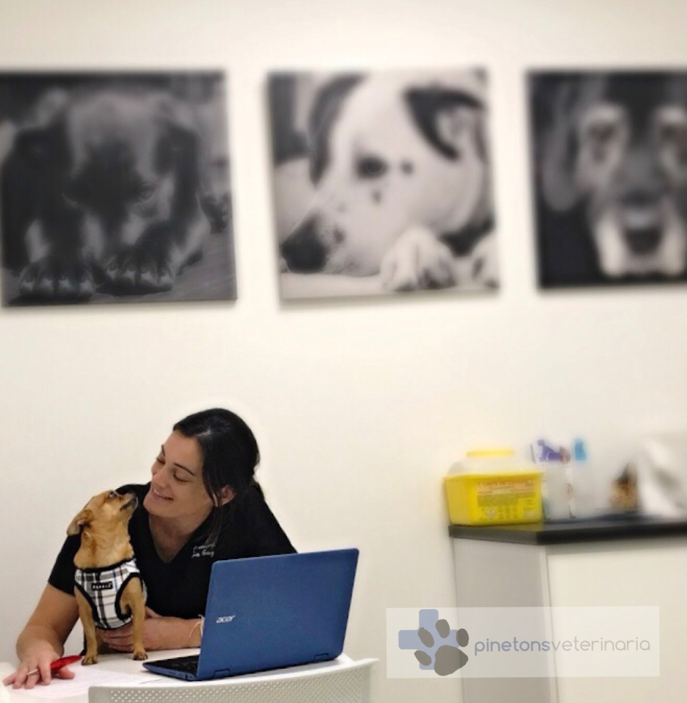 Pinetons Veterinaria