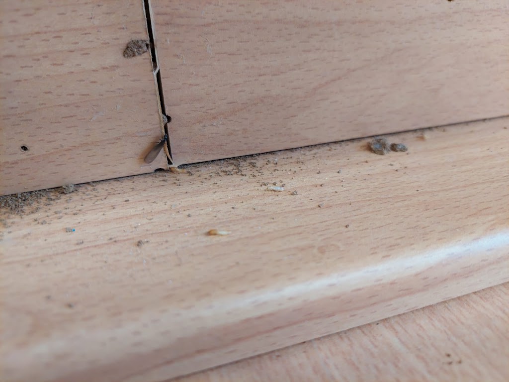 FastControl Hospitalet