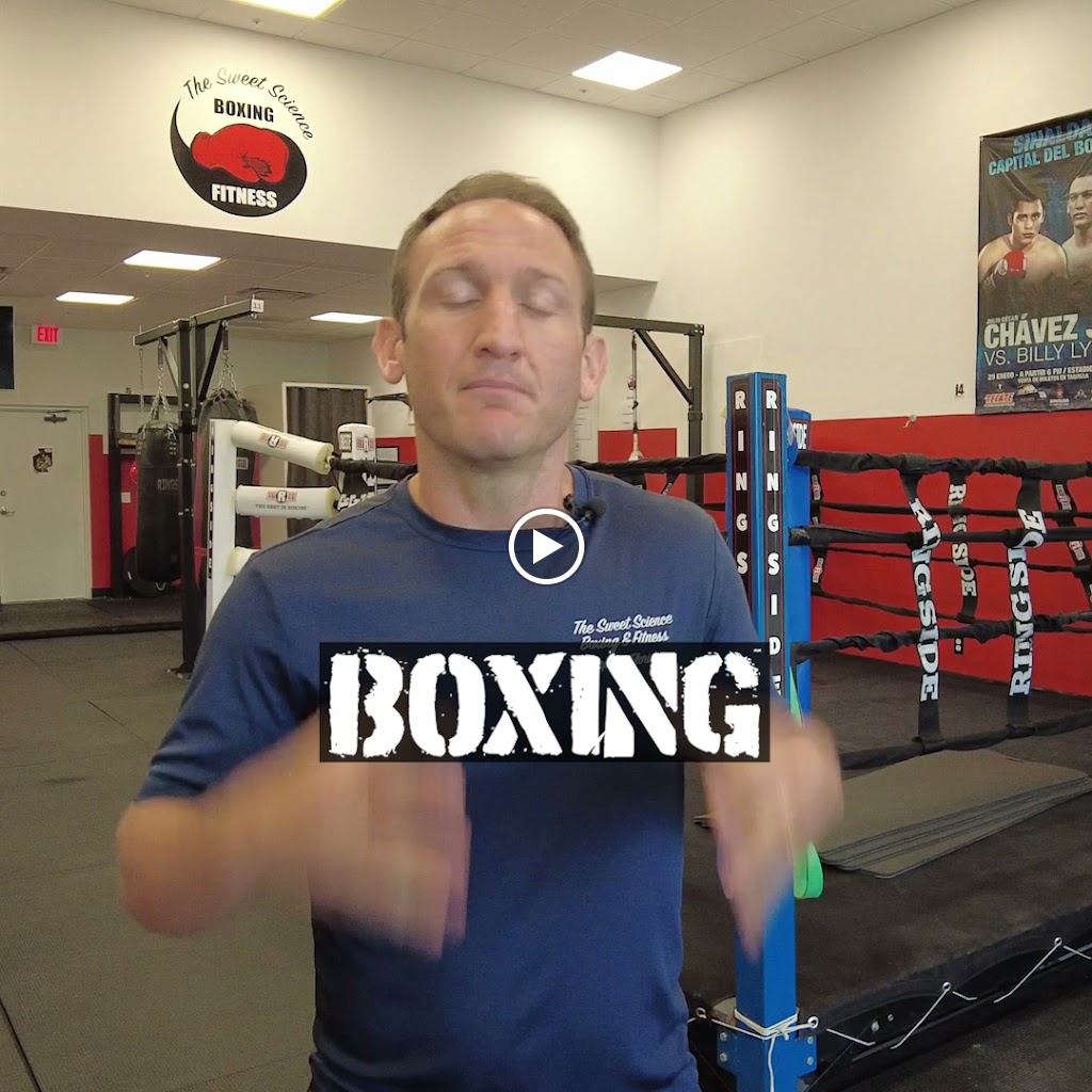  The Sweet Science Boxing Fitness