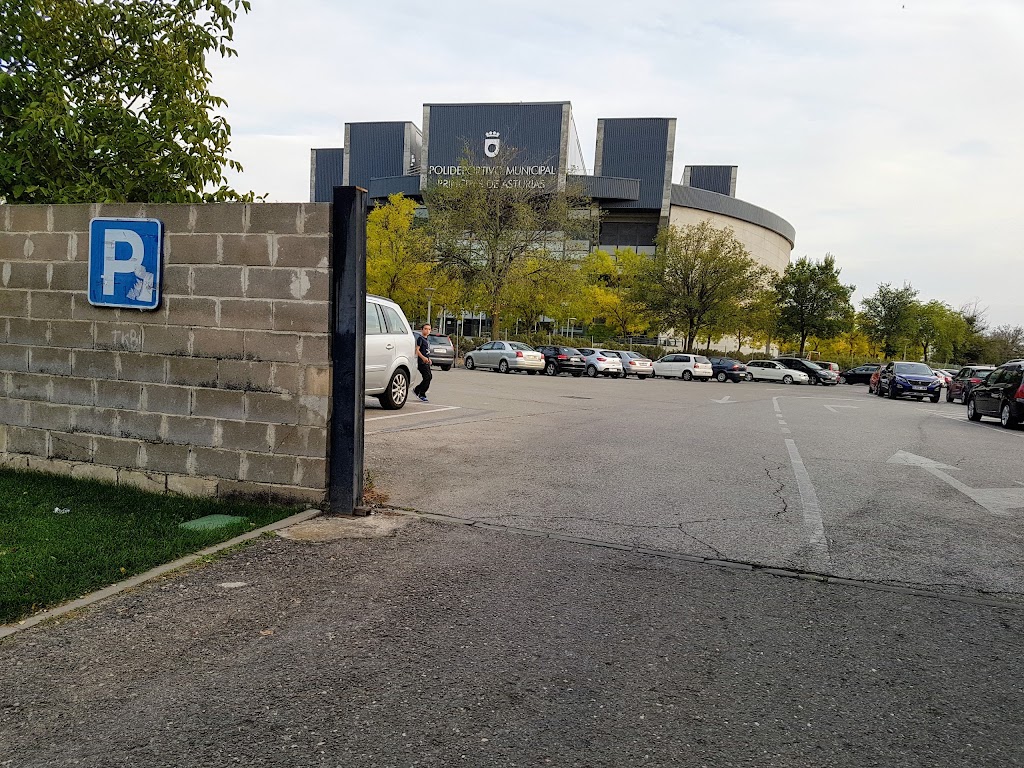 Aparcamiento Parque Municipal — Estacionamiento