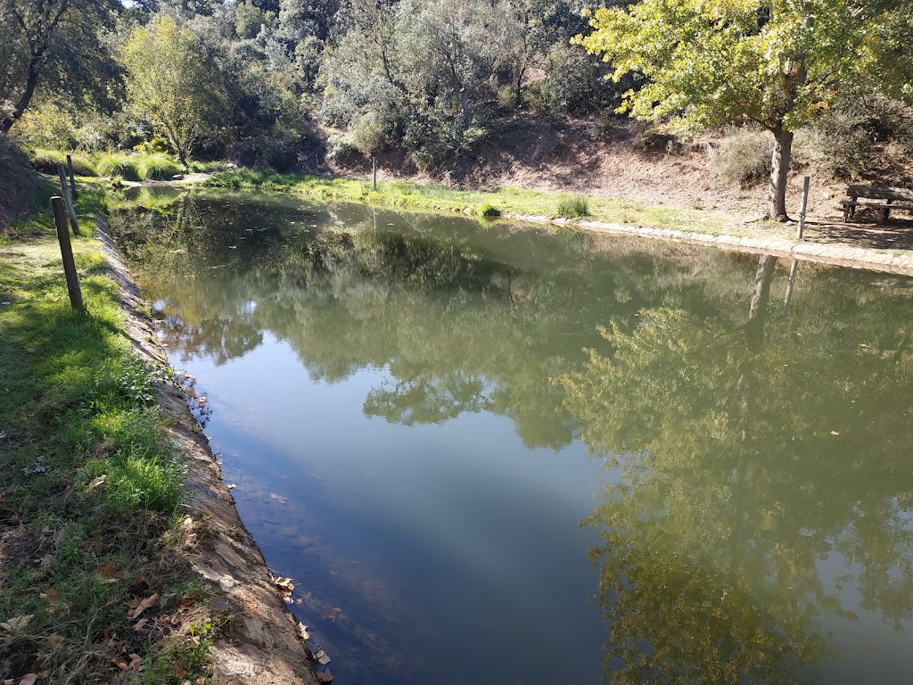Piscina natural "La Naciente"