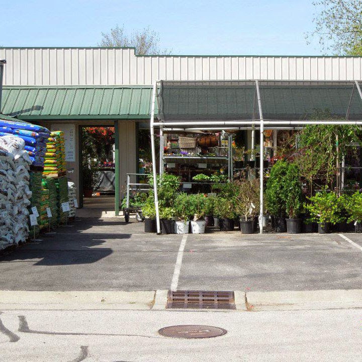 Wistinghausen Florist & Greenhouse