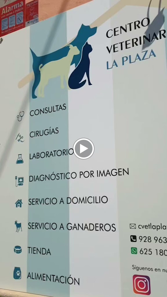 Clinica Veterinaria La Plaza — Perro