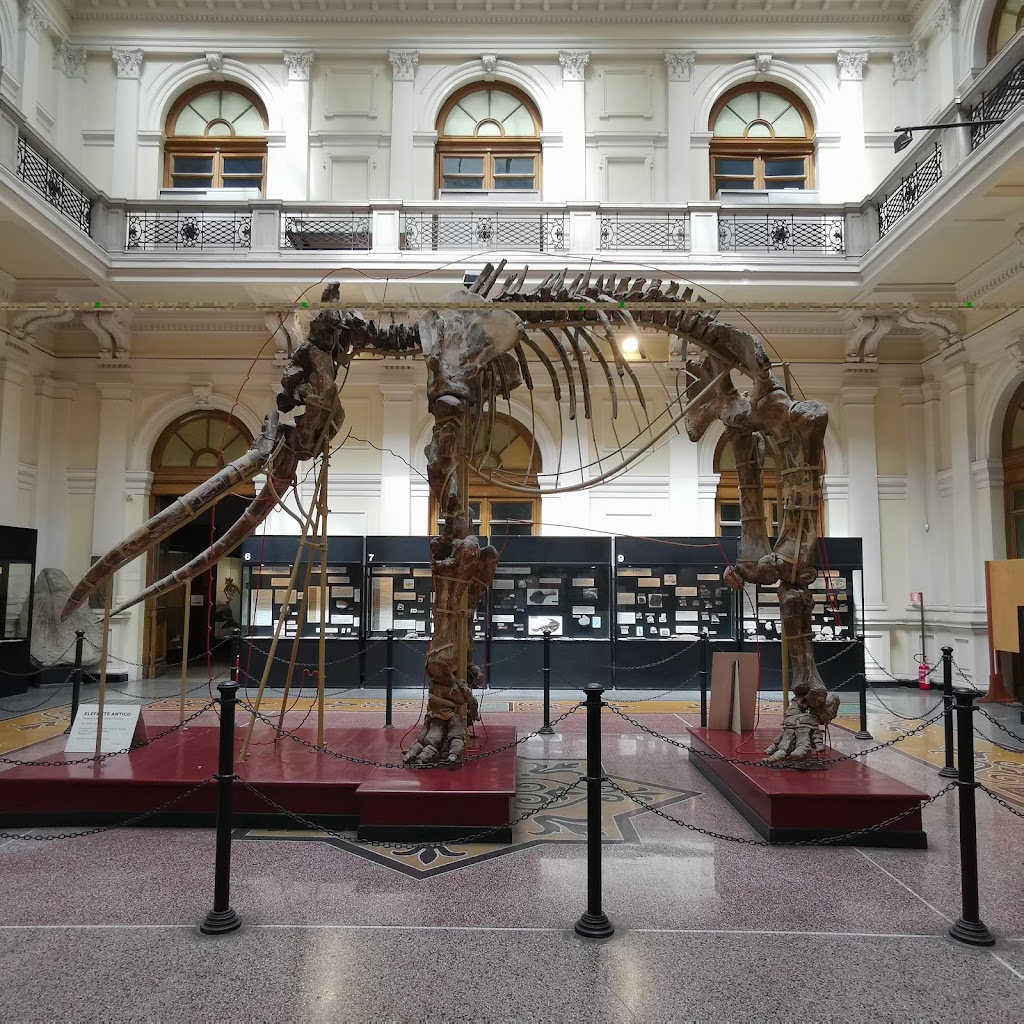 Museum of Natural History "Giacomo Doria"